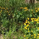 דירה Sehr Geraeumige, Gemuetliche Familienunterkunft - Stofbauer