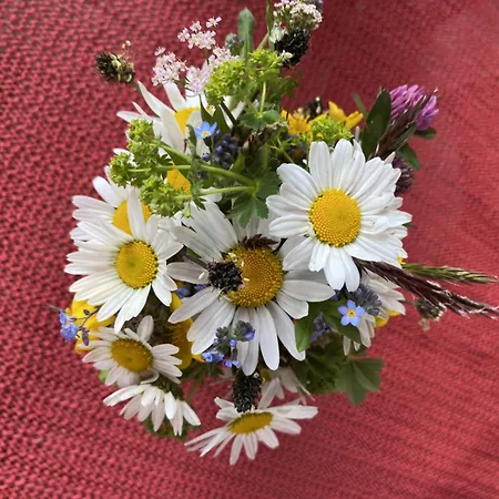 Apartment Sehr Geräumige, Gemütliche Familienunterkunft - Stofbauer Rangersdorf