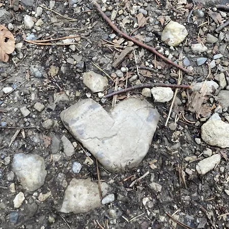 Sehr Geraeumige, Gemuetliche Familienunterkunft - Stofbauer * Rangersdorf