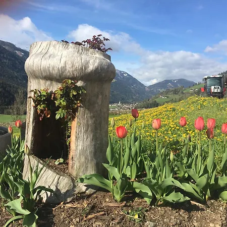 Sehr Geraeumige, Gemuetliche Familienunterkunft - Stofbauer * Rangersdorf