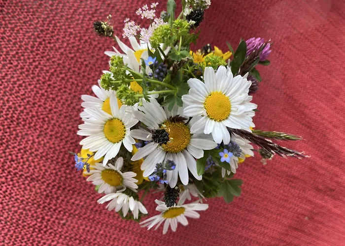 Apartament Sehr Geraeumige, Gemuetliche Familienunterkunft - Stofbauer Rangersdorf