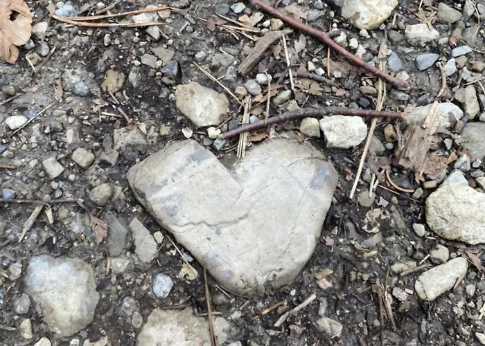 Sehr Geräumige, Gemütliche Familienunterkunft - Stofbauer * Rangersdorf