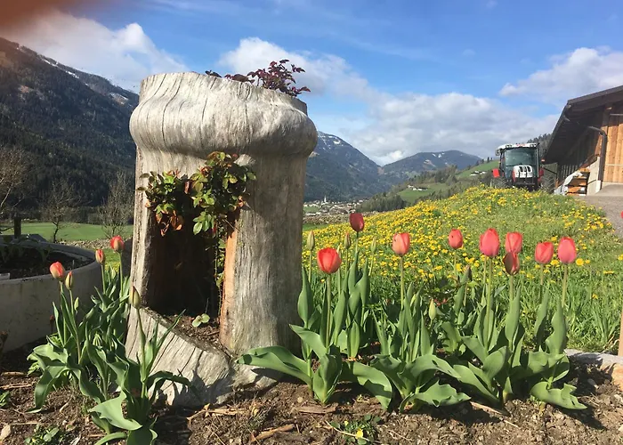 Sehr Geraeumige, Gemuetliche Familienunterkunft - Stofbauer * Rangersdorf